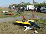 DSCN0981