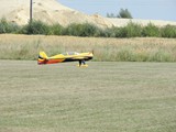 DSCN0736