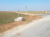 IMG_20181013_142421