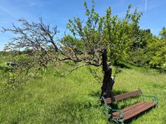 191 Radtour2025-05