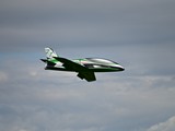 DSC_3233