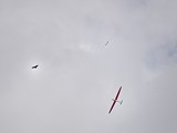 DSC_3447_02