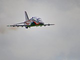 DSC_3726_01