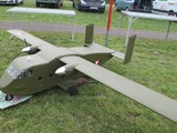 IMG_2981