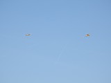 IMG-20180819-WA0002