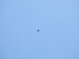 IMG-20180819-WA0006