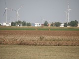 IMG_9116