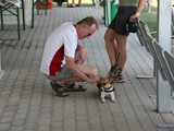 IMG_9146