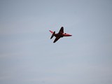 IMG_9155