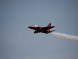 IMG_9164