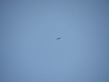IMG_9166