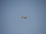 IMG_9178
