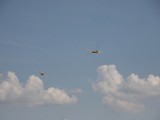 IMG_9227