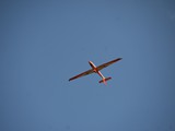 IMG_9247