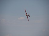 IMG_9256