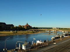 8 Dresden  197