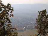 IMG_0390
