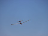ST_IMG_0220